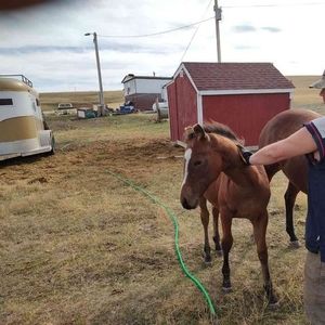 Meet your Posher, Robert